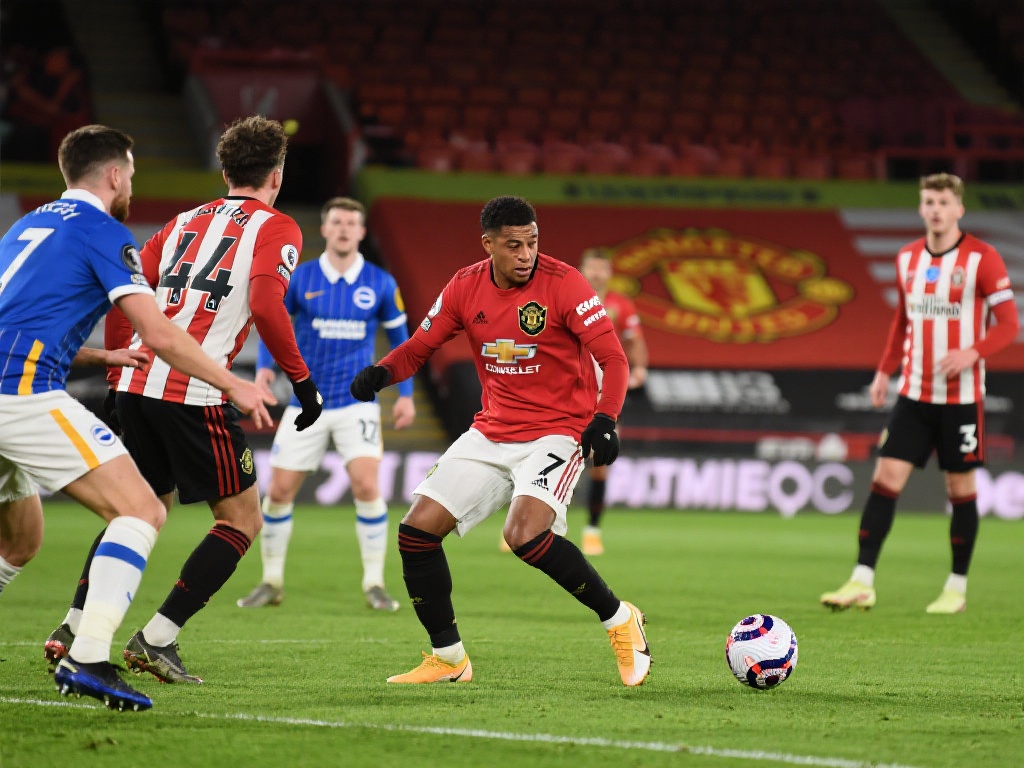 真正引领了 真正引领了