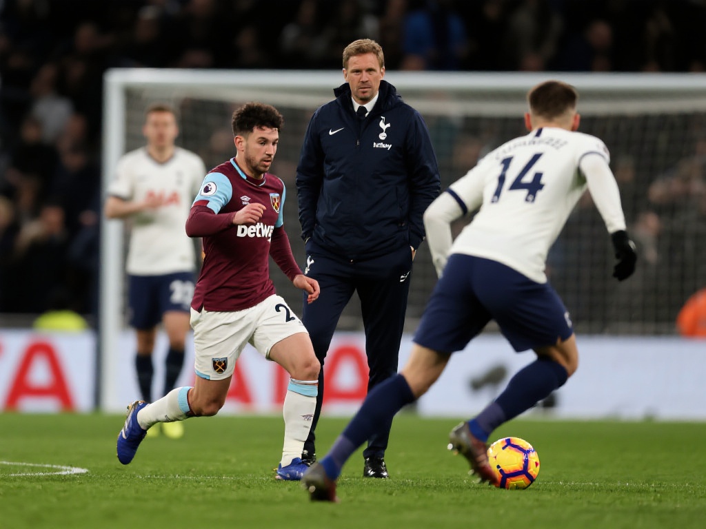 不仅能够提 不仅能够提